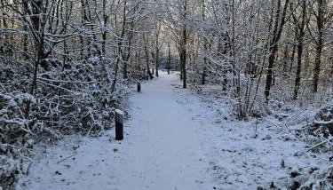 Oak Tree Lodge with Hot Tub near Alton Towers - Foto 2