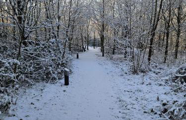 Oak Tree Lodge with Hot Tub near Alton Towers - Foto 2