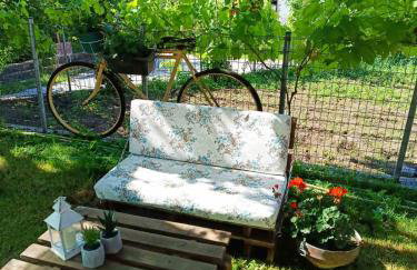 Τα πλατάνια - Foto 24