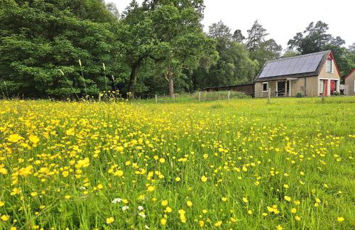 Westmains Lodge - Foto 20