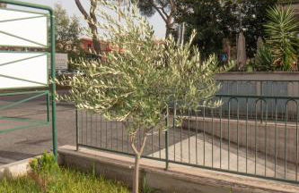 Fele's house - Foto 15