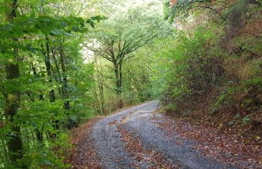 Ferienhaus Neumühle - Foto 20