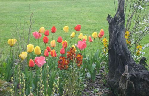 Casa Rural Bentazar - Foto 46