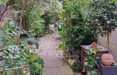 Terra-Crystal - Foto 23