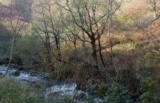 Compostelle Chemin Garazi - Foto 26