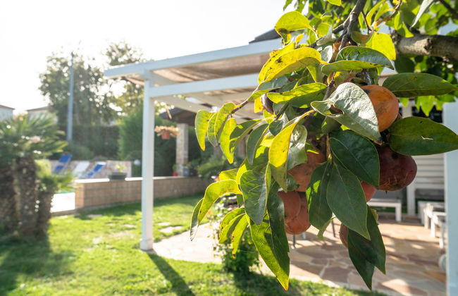 Rêve d'Or - Foto 27