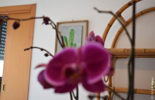 Vacation House a Mola di Bari - Foto 20