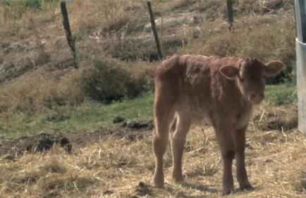 Agriturismo Mandrioli - Foto 20