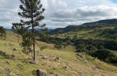 Winter Valley Cabins - Foto 45