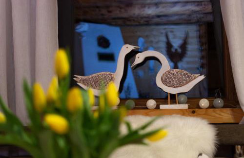 Chaty Anety Domki Całoroczne - Foto 51