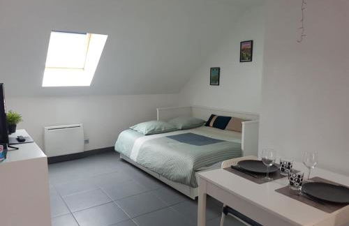 Grand studio centre historique Sancerre - Foto 3