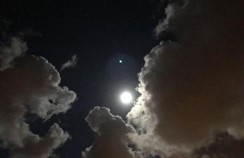 DELUXE HOME, SEA VIEW AND TERRACE GC52 - Foto 49