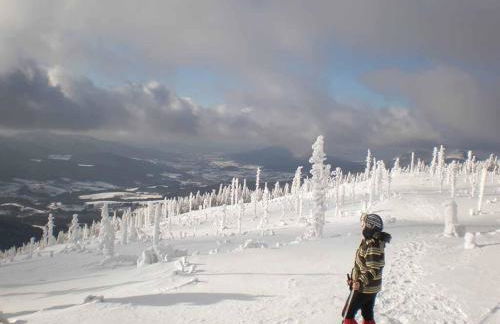 Gästehaus Schmalzreich - Foto 29