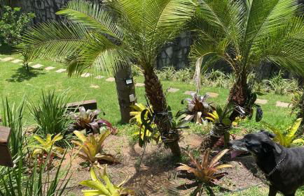 Casa Indaiá - Photo 76