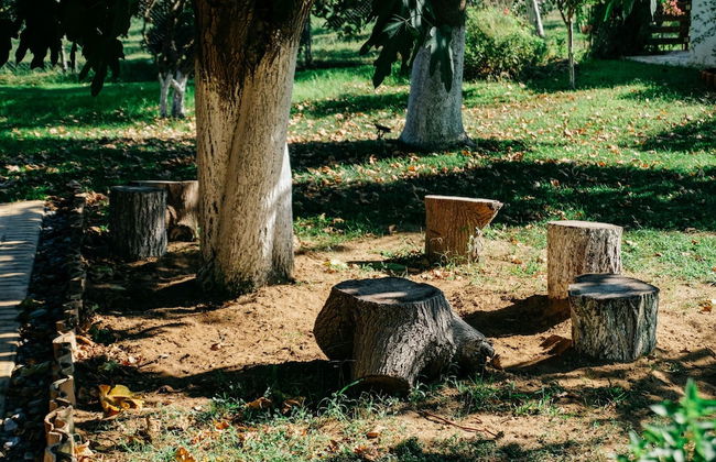 Beautiful Village Bungalow - Foto 40