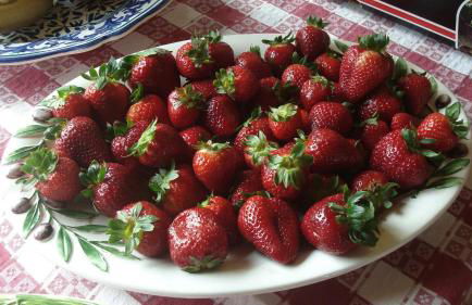 Tenuta di Seripa - Photo 24