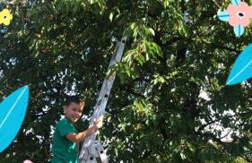 Ferien- und Monteurswohnung Heilbrunnen - Foto 10