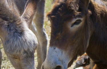 Casas de Santa Rita - Foto 20