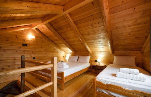 Ο κισσός - Foto 13