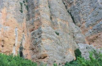 Natura Jordan - Foto 55