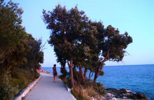 Apartmani Vesna - Foto 14