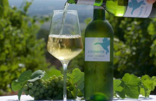 Domaine de la Durantie Duplex Vieux Chateau - Foto 18