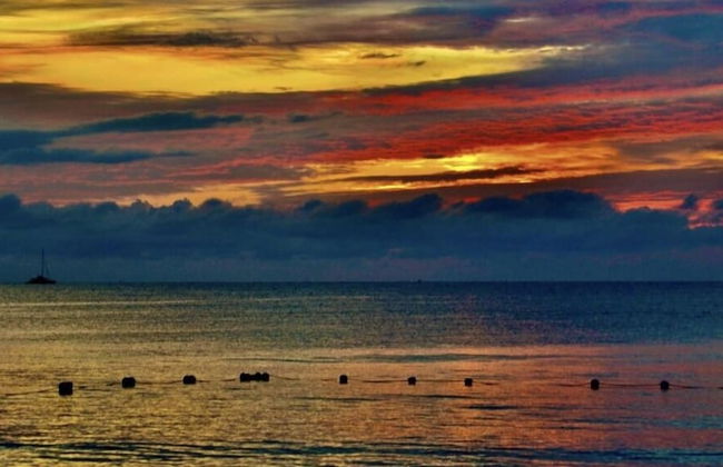 Seacret Studios - Cozy Jamaican Retreat Apts by RedAwning - Photo 9