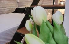 La Salitella - Foto 6