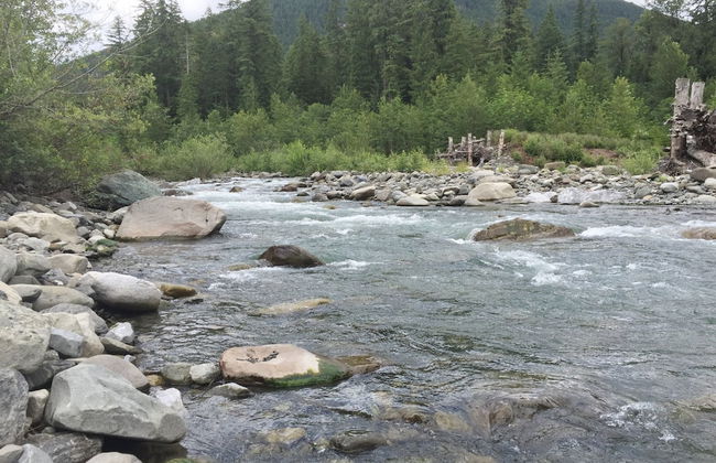 21GS - Log Cabin - Pets Ok - Sleeps 6 - Foto 19