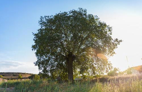 Cal Carreró - Foto 36