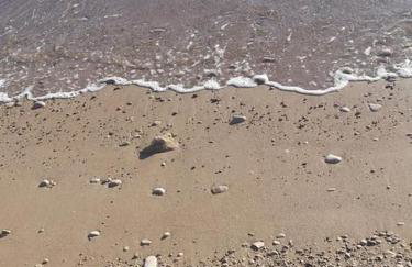 Sea apartment by beach Vine, olive oil tasting, kajaks, grill - Photo 42