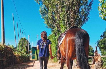 La Villetta del Gelso bianco - Foto 53