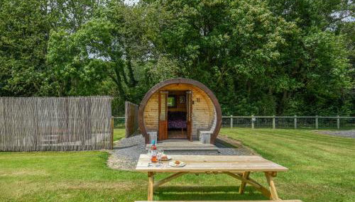 Willow - Glamping Pod - Uk49947 - Foto 5