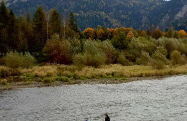 Hortensjowy Zakątek w Pieninach - Foto 29