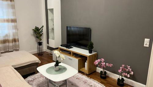 VIP Wohnung Heidelberg - Foto 3