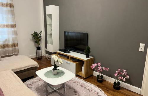 VIP Wohnung Heidelberg - Foto 3