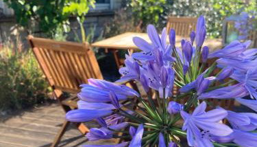 Ferienwohnung Sonja am Weinberg - Foto 4