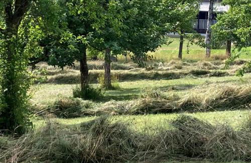 Austragshaus Almbranz - Foto 36