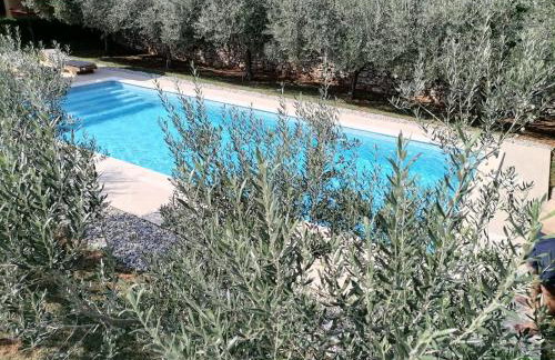 Mala kuća sa velikim grijanim bazenom ANTONIO - Foto 11