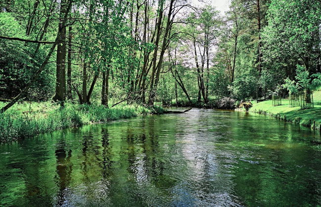 Siedlisko Milachowo luxury wellness - Photo 68