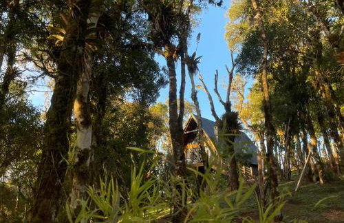 Casa da Mata - Foto 71