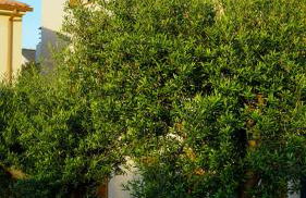 Résidence Catalina - Foto 105