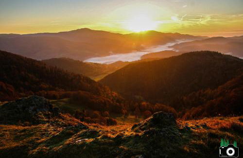 L'Atypique Vosgien - Foto 22