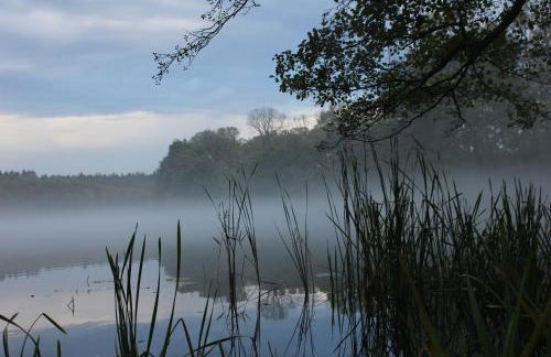 Ferienhütte Barsdorf - Foto 6
