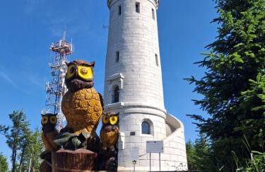 Sowie Pokoje - Foto 32