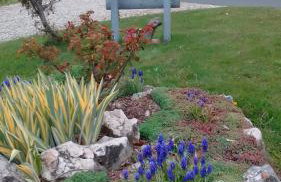 Studio apartman Šafarić - Foto 11