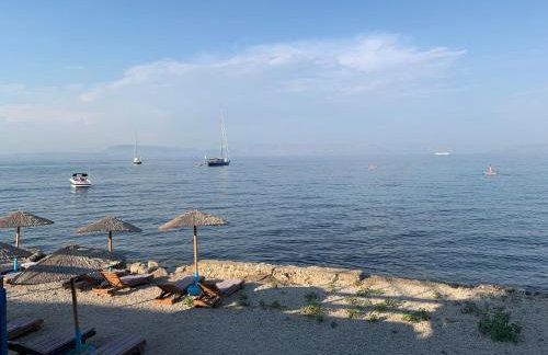 HADARIK by the sea - Foto 34