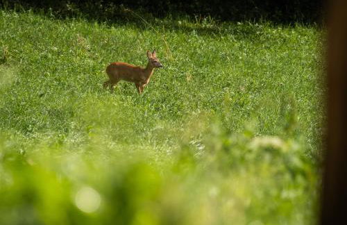 Natur Apartments Riesen - Photo 45
