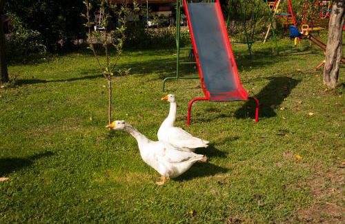 Agriturismo Il Giardino - Photo 6