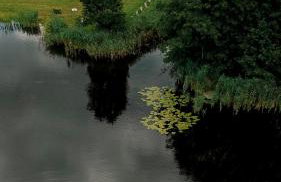 Kociołkowe Zacisze Łowyń - Foto 18